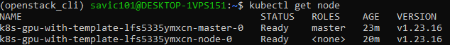 ../_images/kubectl_get_node.png